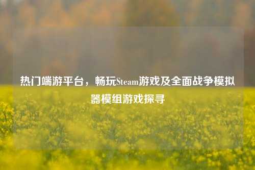 热门端游平台,畅玩Steam游戏及全面战争模拟器模组游戏探寻