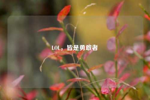 LOL,皆是勇敢者