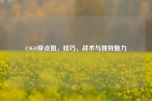 CSGO穿点狙，技巧、战术与独特魅力