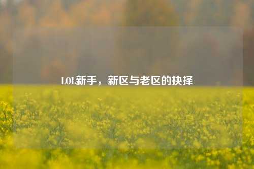 LOL新手,新区与老区的抉择