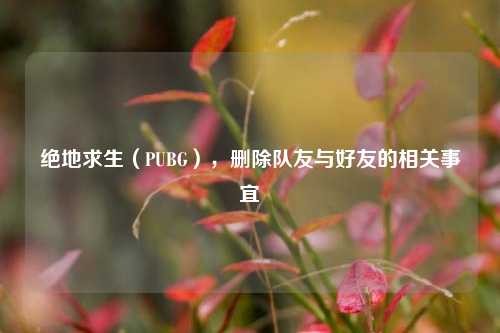 绝地求生(PUBG),删除队友与好友的相关事宜