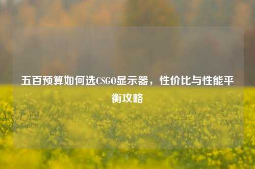 五百预算如何选CSGO显示器,性价比与性能平衡攻略