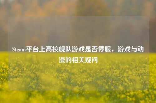 Steam平台上高校舰队游戏是否停服,游戏与动漫的相关疑问