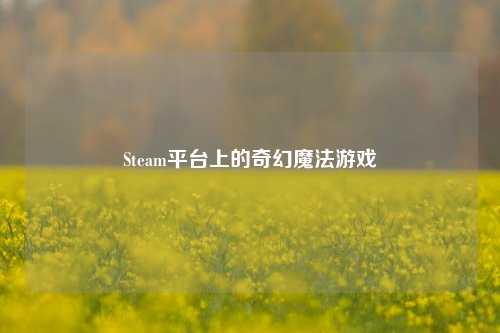 Steam平台上的奇幻魔法游戏
