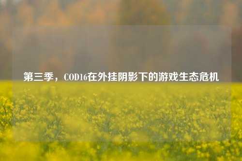 第三季，COD16在外挂阴影下的游戏生态危机