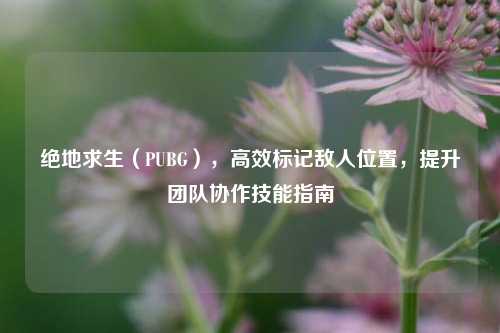 绝地求生(PUBG),高效标记敌人位置,提升团队协作技能指南