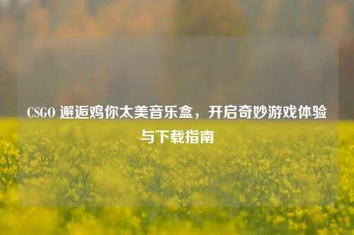 CSGO 邂逅鸡你太美音乐盒，开启奇妙游戏体验与下载指南