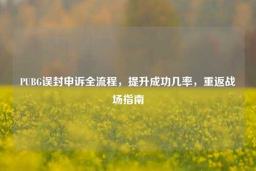 PUBG误封申诉全流程,提升成功几率,重返战场指南