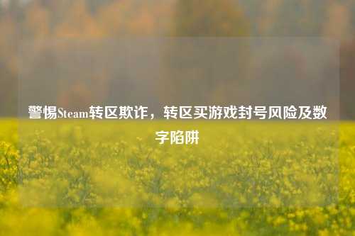 警惕Steam转区欺诈,转区买游戏封号风险及数字陷阱