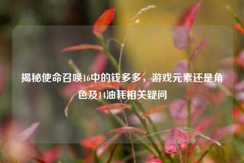 揭秘使命召唤16中的钱多多,游戏元素还是角色及14油耗相关疑问