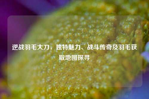 逆战羽毛大刀，独特魅力、战斗传奇及羽毛获取地图探寻
