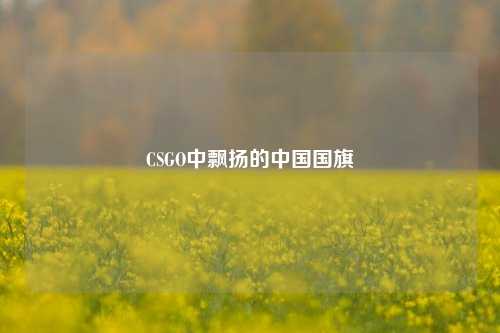 CSGO中飘扬的中国国旗