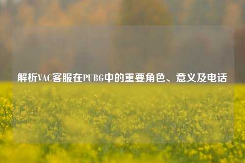 解析VAC客服在PUBG中的重要角色、意义及电话