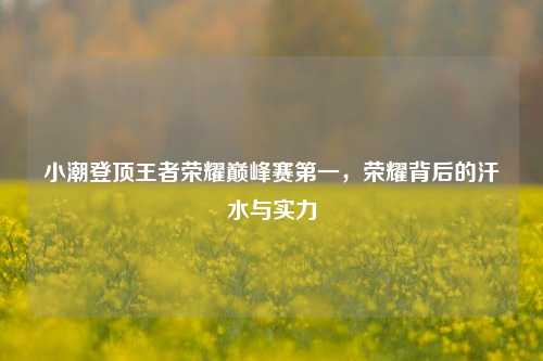 小潮登顶王者荣耀巅峰赛第一,荣耀背后的汗水与实力