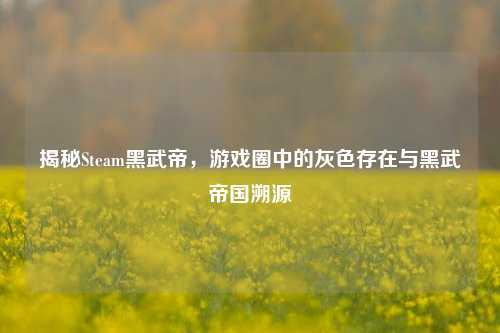 揭秘Steam黑武帝，游戏圈中的灰色存在与黑武帝国溯源