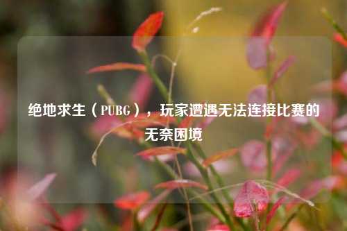 绝地求生（PUBG），玩家遭遇无法连接比赛的无奈困境