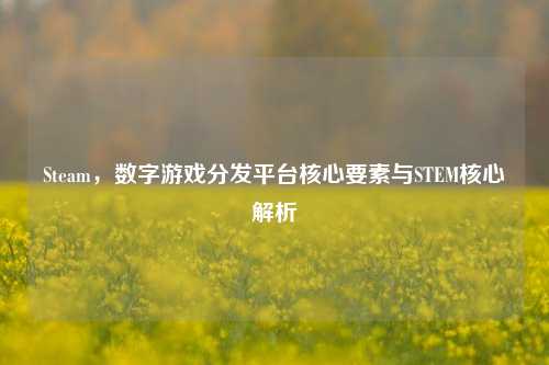 Steam,数字游戏分发平台核心要素与STEM核心解析
