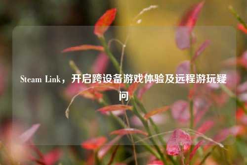 Steam Link,开启跨设备游戏体验及远程游玩疑问