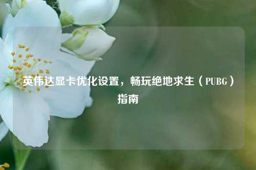 英伟达显卡优化设置,畅玩绝地求生(PUBG)指南