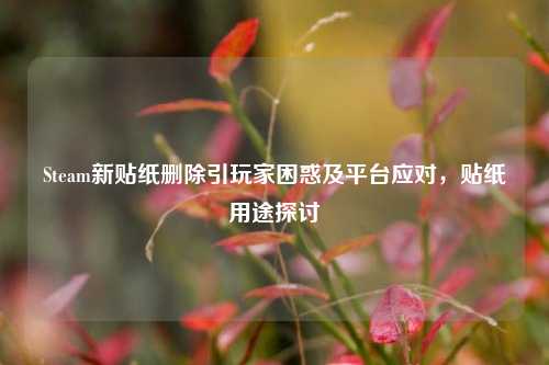 Steam新贴纸删除引玩家困惑及平台应对，贴纸用途探讨