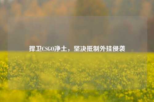 捍卫CSGO净土,坚决抵制外挂侵袭