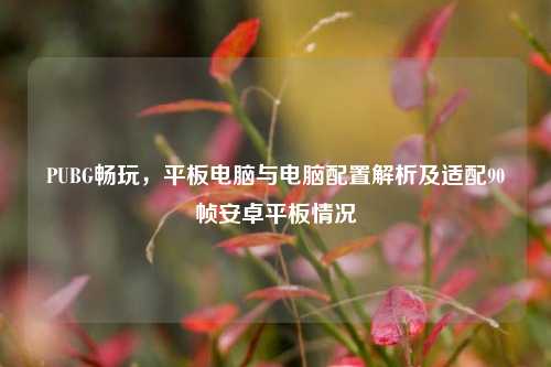 PUBG畅玩，平板电脑与电脑配置解析及适配90帧安卓平板情况