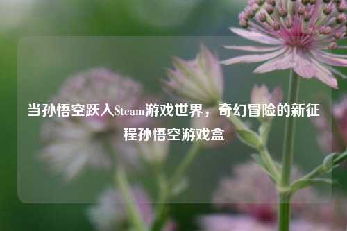 当孙悟空跃入Steam游戏世界,奇幻冒险的新征程孙悟空游戏盒