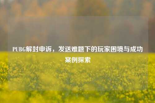 PUBG解封申诉,发送难题下的玩家困境与成功案例探索