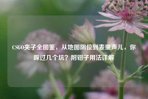 CSGO夹子全图鉴,从地图阴位到麦里声儿,你踩过几个坑?附钳子用法详解