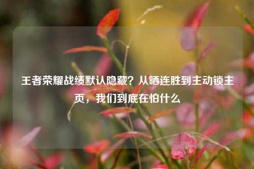王者荣耀战绩默认隐藏?从晒连胜到主动锁主页,我们到底在怕什么