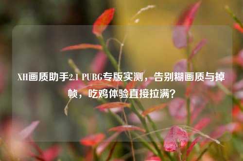 XH画质助手2.1 PUBG专版实测,告别糊画质与掉帧,吃鸡体验直接拉满?