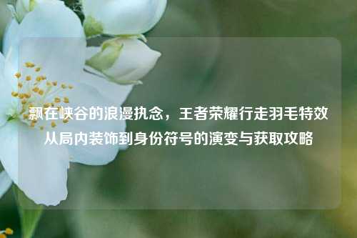 飘在峡谷的浪漫执念，王者荣耀行走羽毛特效从局内装饰到身份符号的演变与获取攻略