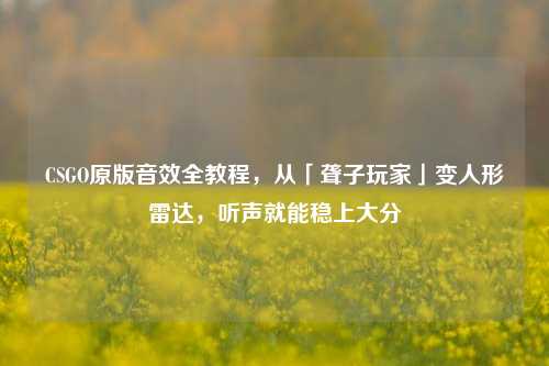 CSGO原版音效全教程,从「聋子玩家」变人形雷达,听声就能稳上大分