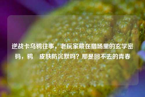 逆战卡乌鸦往事,老玩家藏在猎场里的玄学密码,鸦曈皮肤防沉默吗?那是回不去的青春