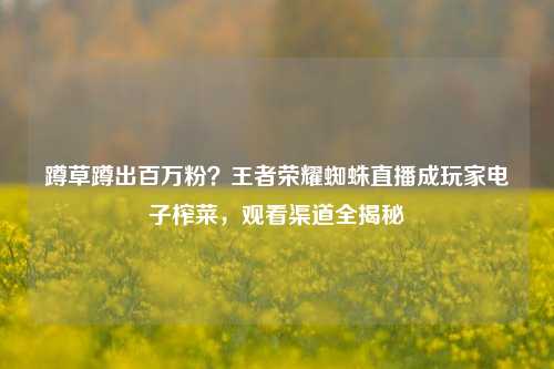 蹲草蹲出百万粉?王者荣耀蜘蛛直播成玩家电子榨菜,观看渠道全揭秘