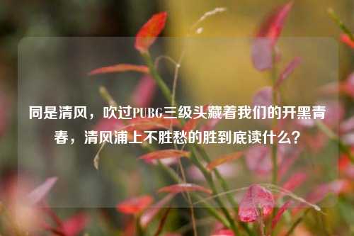 同是清风,吹过PUBG三级头藏着我们的开黑青春,清风浦上不胜愁的胜到底读什么?