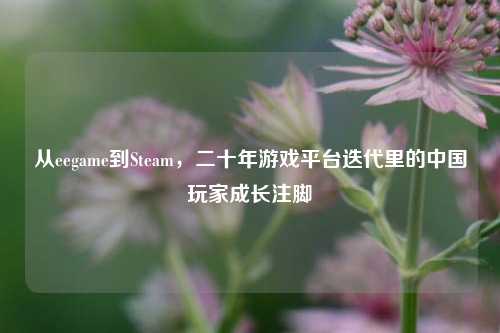 从eegame到Steam,二十年游戏平台迭代里的中国玩家成长注脚