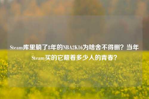 Steam库里躺了8年的NBA2K16为啥舍不得删？当年Steam买的它藏着多少人的青春？