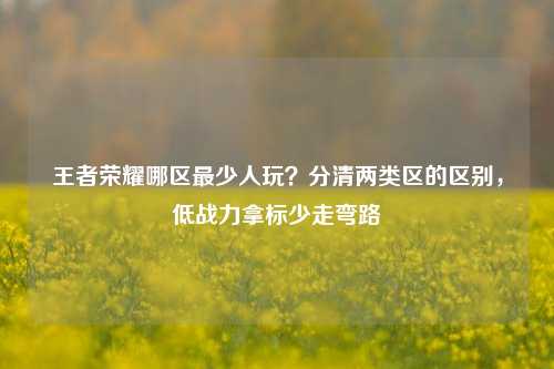 王者荣耀哪区最少人玩？分清两类区的区别，低战力拿标少走弯路