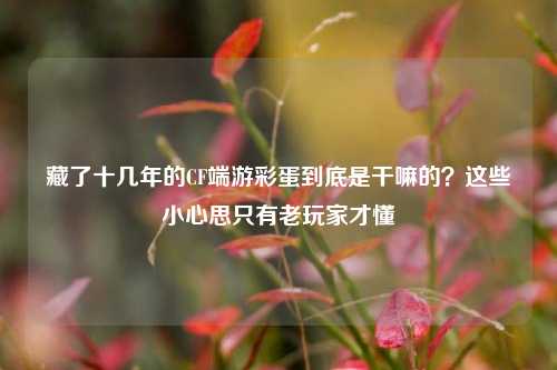 藏了十几年的CF端游彩蛋到底是干嘛的？这些小心思只有老玩家才懂
