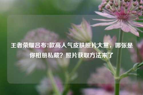 王者荣耀吕布7款高人气皮肤照片大赏，哪张是你相册私藏？照片获取方法来了