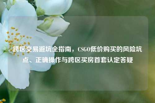 跨区交易避坑全指南,CSGO低价购买的风险坑点、正确操作与跨区买房首套认定答疑