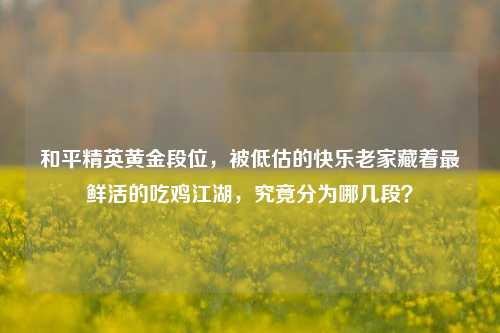 和平精英黄金段位,被低估的快乐老家藏着最鲜活的吃鸡江湖,究竟分为哪几段?
