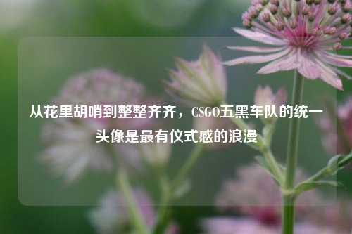 从花里胡哨到整整齐齐,CSGO五黑车队的统一头像是最有仪式感的浪漫