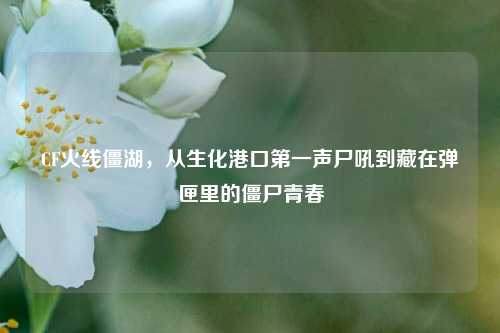 CF火线僵湖,从生化港口第一声尸吼到藏在弹匣里的僵尸青春