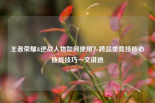 王者荣耀&逆战人物如何使用?跨品类竞技核心技能技巧一文讲透