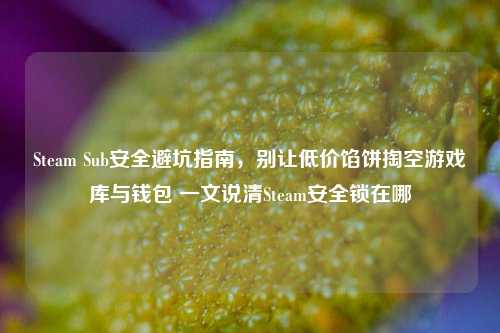 Steam Sub安全避坑指南,别让低价馅饼掏空游戏库与钱包 一文说清Steam安全锁在哪