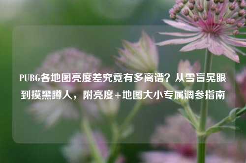 PUBG各地图亮度差究竟有多离谱?从雪盲晃眼到摸黑蹲人,附亮度+地图大小专属调参指南