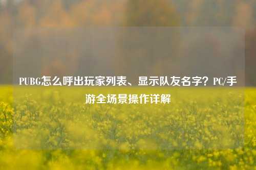 PUBG怎么呼出玩家列表、显示队友名字?PC/手游全场景操作详解