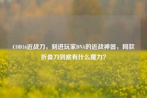 COD16近战刀,刻进玩家DNA的近战神器,同款折叠刀到底有什么魔力?